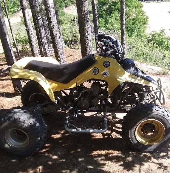 Meet your Posher, Ramsey - Picture 1 of 1